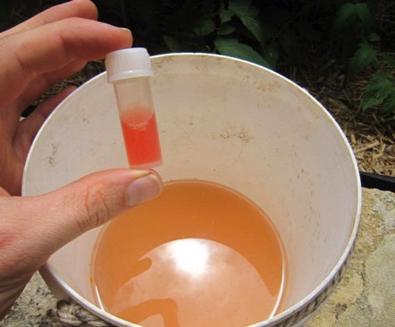 what to do with your bokashi juice